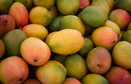 Mangoes fall like rain